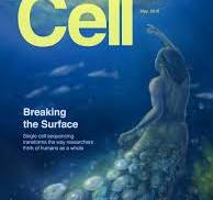 Molecular Cell Journal Cover - WNW Cell Cover