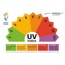 uv index predicts the intensity of uv radiation at noon