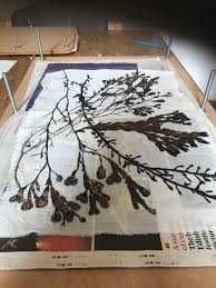 The Gardeners' House Penzance starts work