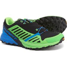 Dynafit Alpine Pro Trail Running Shoes For Men