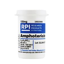 Image result for Amphotericin B