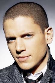 Wentworth Miller Returns To Fox