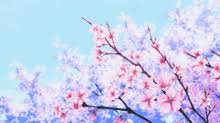 Vintage, aesthetic, retro, old, 90s, 80s, 70s anime and more. Anime Cherry Blossom Gifs Tenor