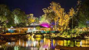 Image result for Woodfordia