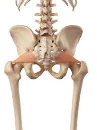 Piriformis syndrom er en tilstand med smerter i rumpen og bekkenet som ofte stråler ned på baksiden av låret. Har Du Problemer Med Piriformis Syndrom Fa Styr Pa Arsagen Bag Dine Piriformis Smerter Move2peak Energi Og Frihed Til Bevaegelse