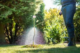 Be very careful while using this as this makes the gravel or bricks very hot. 5 Best Weed Killer Options For Your Lawn And Garden Bob Vila
