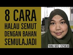 Setiap pemilik rumah pasti akan rungsing sekiranya kehadiran ribuan serangga memenuhi ruang rumah. 8 Cara Halau Semut Dengan Bahan Semulajadi Youtube