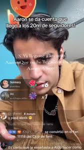 Cuantos Millones De Seguidores Tenia Aaron Antes De La Casa De Los Famosos 