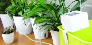 A diy pvc watering system that is made using pvc pipe can help your garden flourish, and you won't have to spring for an. Best Automatic Watering System For Indoor Plants Nerd Techy