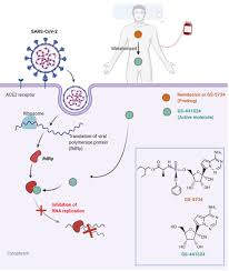 Information about veklury® (remdesivir) from around the world. Remdesivir And Its Antiviral Activity Against Covid 19 A Systematic Review Clinical Epidemiology And Global Health