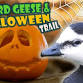 Weird Geese & Halloween Trail event image