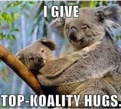 Quotes On Images Your Daily Doze Of Inspiration Funny Koala Koala Bear Koala Meme