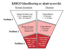 Hjertestans skyldes oftest en kraftig reduksjon i eller opphør av hjertets pumpefunksjon, men kan også skyldes forhold utenfor. Akutt Nyresvikt Etter Gjennomgatt Hjertestans Indremedisineren