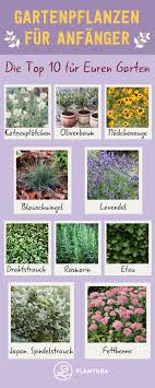 10 Garden Plants For Beginners If You Want To Create Your Own Garden You Will Soon Face A Huge Number Of Diff Garten Pflanzen Garten Anlegen Gartenpflanzen