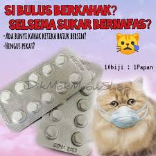 Ye, kucing boleh dijangkiti selsema /flu atau asthma dari manusia seperti asap rokok, habuk dalam rumah dan kelemumur manusia. Ubat Selsema Kucing