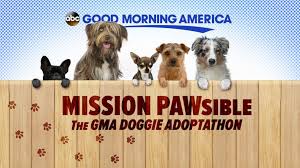 Atlanta pet rescue & adoption. Gma Doggie Adoptathon List Of Participating Shelters Across The Country Abc News