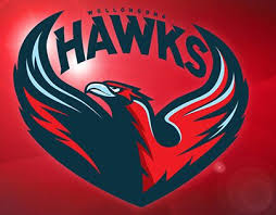 Wollongong Hawks Rebrand Hawk Logo Sports Logo Logos