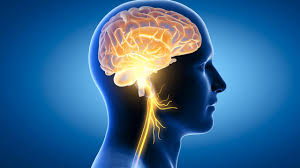 images?q=tbn:ANd9GcS4qRkauFt5dSfLto8-kihWmtLRXSXlLh2quA&s