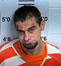 Johnson Charged with Impersonating his Brother During Traffic Stop