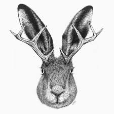 Product Design The Jackalope Talos A Wonderful Kind Of Impossible Are you looking for free jackalope templates? product design the jackalope talos