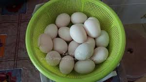 Tidak heran, sumber protein hewani yang satu ini disukai hampir semua orang. Sedap Sedap Telur Masin Telur Itik Ira Mommy Si Kembar