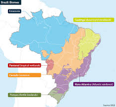 We did not find results for: Brazil Biomes Map By Region Oxford Analytica Daily Brief