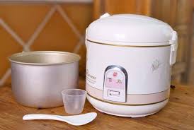 Suelo hacer este plato siempre que ando con poco tiempo y tengo que preparar un primer plato principal con buenos nutrientes. Ventajas E Inconvenientes De La Arrocera Electrica Usos En Cocina Pepekitchen