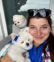 Professional Hotel Pet Sitting Service For Travelers