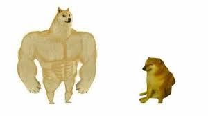 Pin On كنز من الmemes