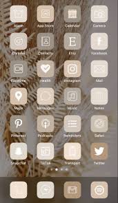 Neutral Iphone App Icons Iphone Wallpaper App Iphone Photo App Ios App Iphone