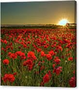 Sunset At Poppy Field by Danny Birrell Photography