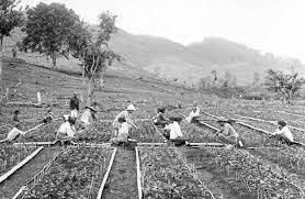 Sep 20, 2018 · indonesia pada masa awal kemerdekaan. Teknik Mesin Steven Lona Kehidupan Bangsa Indonesia Dari Awal Kemerdekaan 1945 Sampai 1950