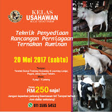 Belajar cara ternak kambing etawa yogya. Mih Goat Farm 2017