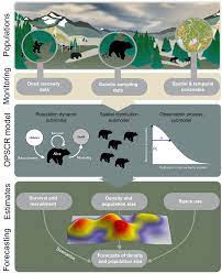 The Process Of Turning Long Term Monitoring Data Such As Noninvasive Download Scientific Diagram