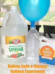 Self Inflating Balloon Baking Soda And Vinegar Balloon Experiment Balloon Experiment Balloon Science Experiments Science Experiments For Preschoolers