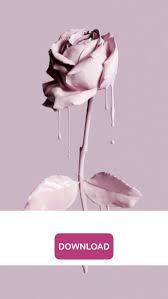 1125x2436 31 hd girly iphone wallpapers for iphone 6/6s/7/8/x/xs/xr>. Iphone Giveaway Of The Day Girly Wallpapers Cute Pink