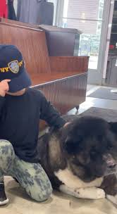 Cut by @dylanmichaels419