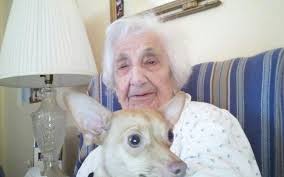 FRANCES DiVITO Obituary (1910