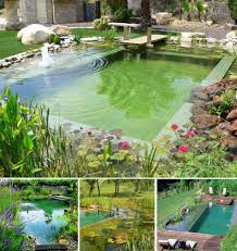 La Bioguia Timeline Photos Facebook Natural Pool Natural Pond Swimming Pool Pond