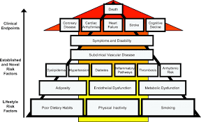 Enter search terms and tap the search button. Beyond Established And Novel Risk Factors Circulation