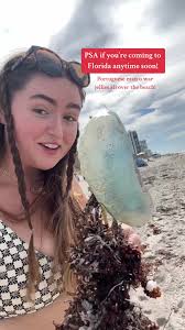Portuguese Man o War Jellyfish Warning