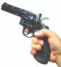 Image result for Warm White 1980 Colt