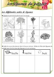 Les Legumes Du Potager Jardinage Maternelle Potager Jardinons A L Ecole