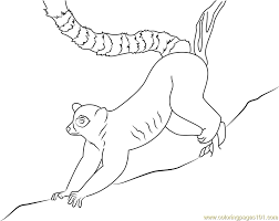 See more ideas about coloring pages, lemur, online coloring. Ring Lemur Coloring Page For Kids Free Lemur Printable Coloring Pages Online For Kids Coloringpages101 Com Coloring Pages For Kids