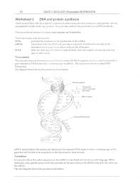 _____ _____ 4) the job of mrna is to pick up amino acids and … 2