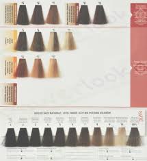 matrix hair color chart lajoshrich com