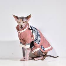 The term mexican hairless cat was generally accepted for any hairless cat. Cat Hoodie Hairless Sphinx Cat Pet Dog Cat Clothing Ropa Para Gato Sweatshirt Cat Clothes For Cats Sweater Cat Cat Costume Buy At The Price Of 32 00 In Aliexpress Com Imall Com