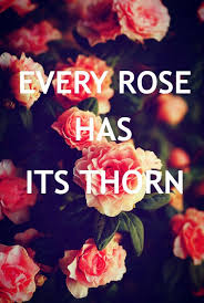 Every Rose Has Its Thorn Mclyrics Rose Quotes Every Rose Beautiful Quotes