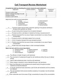 Passive Transport Worksheet Answers 39 Best Of Active And Passive Transport Worksheet Answers Elega Cell Transport Passive Transport Persuasive Writing Prompts
