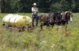 The Amish in the midstate present unique challenges amid coronavirus | WITF